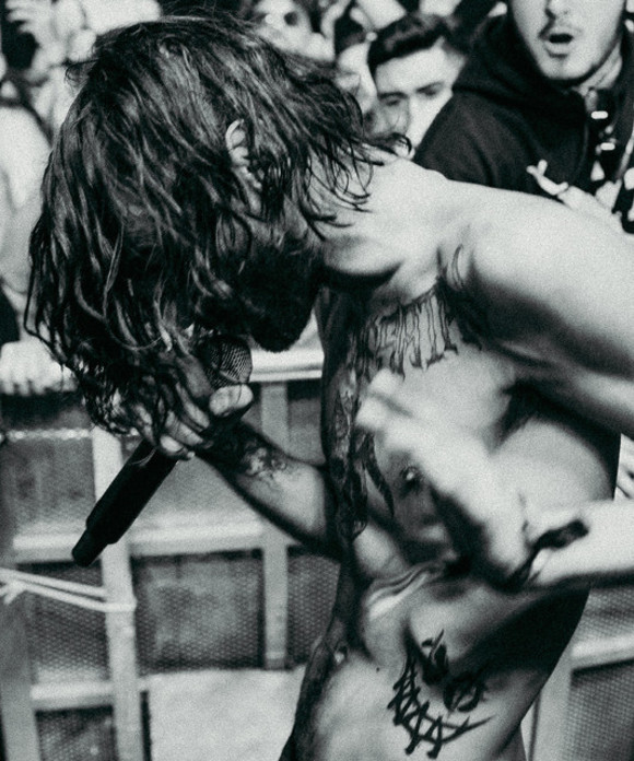 Large_uncropped_e8eb542e