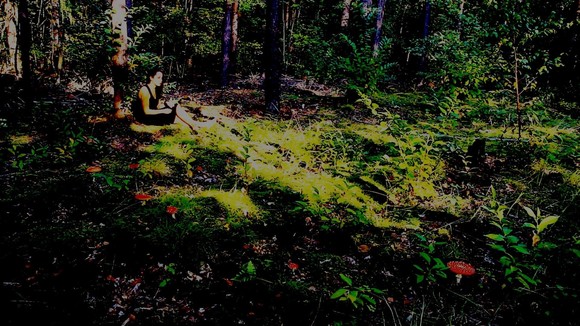 Large_uncropped_03e1abb5