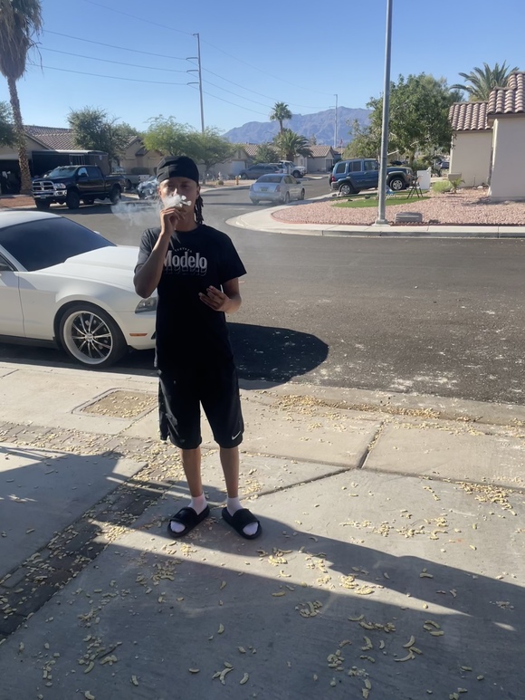 Large_uncropped_a8595488