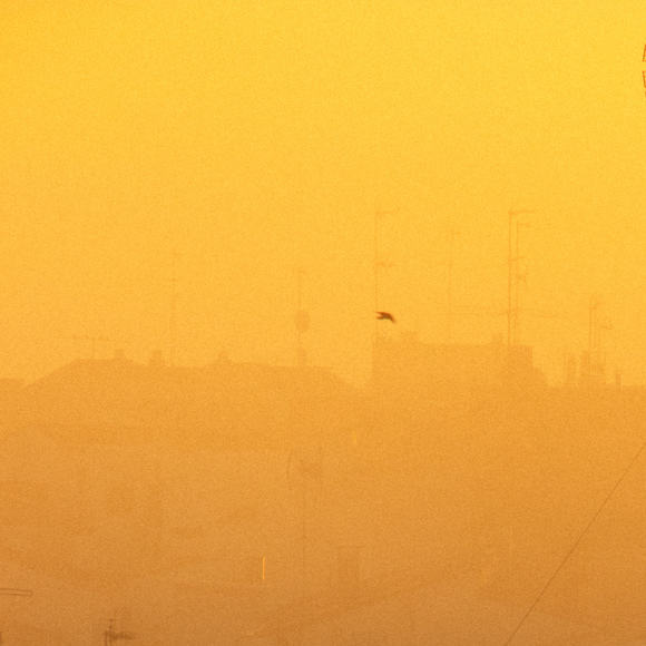 Large_uncropped_2abafe46