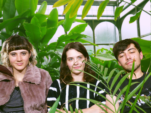 Large_uncropped_02aa0bf0