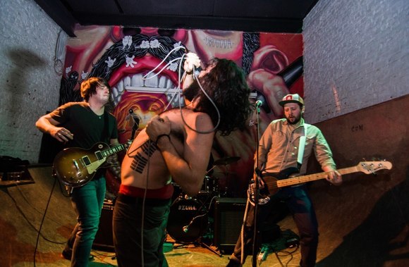 Large_uncropped_6a66dec8