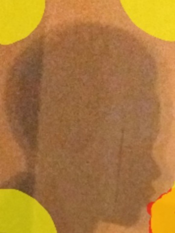 Large_uncropped_d80da001